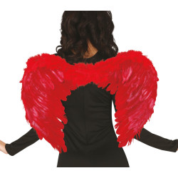 Punaste sulgedega tiivad, 60x50 cm